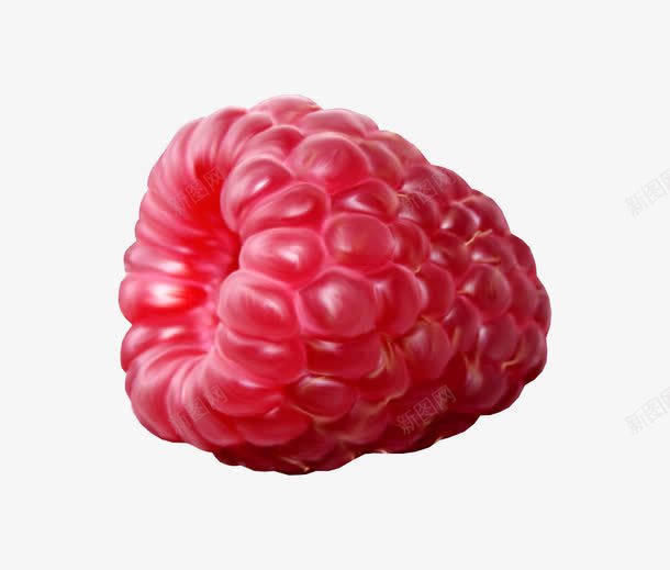 树莓png免抠素材_88icon https://88icon.com 果实 红果 野果