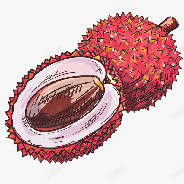 黑叶荔枝手绘插画矢量图ai免抠素材_88icon https://88icon.com 免抠PNG 半个 果实 水果 荔枝 黑叶荔枝手绘插画 矢量图