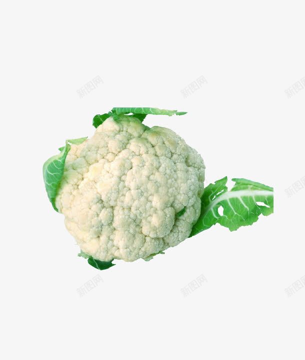 花椰菜png免抠素材_88icon https://88icon.com 果蔬 生鲜 白色 蔬菜