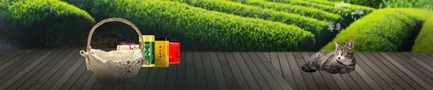 春茶节bannerjpg设计背景_88icon https://88icon.com banner 春茶 设计