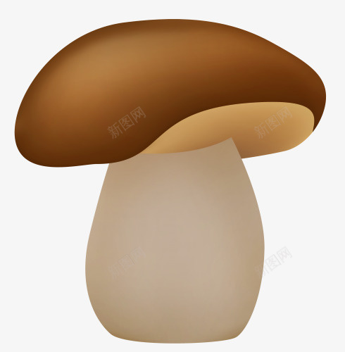 棕色蘑菇png免抠素材_88icon https://88icon.com 棕色 白色 草菇 蘑菇 鲜菇