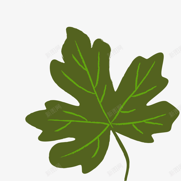 一只梧桐树绿色的叶子png免抠素材_88icon https://88icon.com 一只 叶子 梧桐树 绿色的