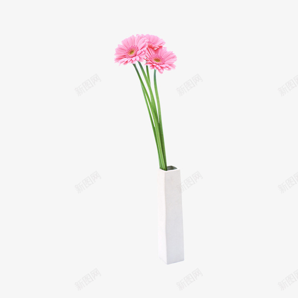 花粉色png免抠素材_88icon https://88icon.com 白色 粉色 花 花瓶