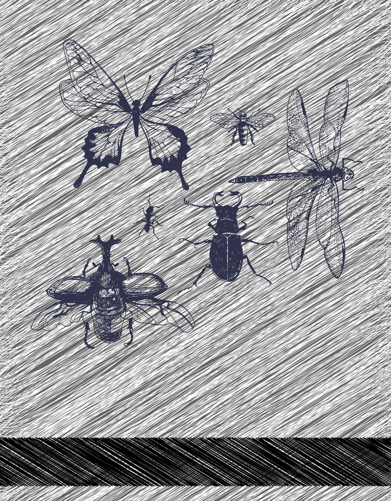 手绘昆虫昆虫条纹背景矢量图ai设计背景_88icon https://88icon.com 创意时尚 封面设计 手绘昆虫 昆虫素材 条纹背景 矢量素材 蚂蚁 蜻蜓 蝴蝶 金龟子 矢量图