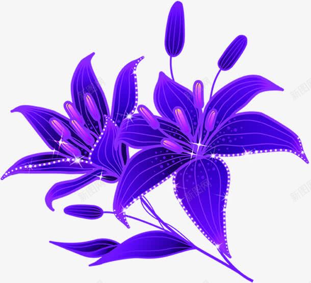 手绘质感合成紫色的罗兰花png免抠素材_88icon https://88icon.com 兰花 合成 紫色 质感