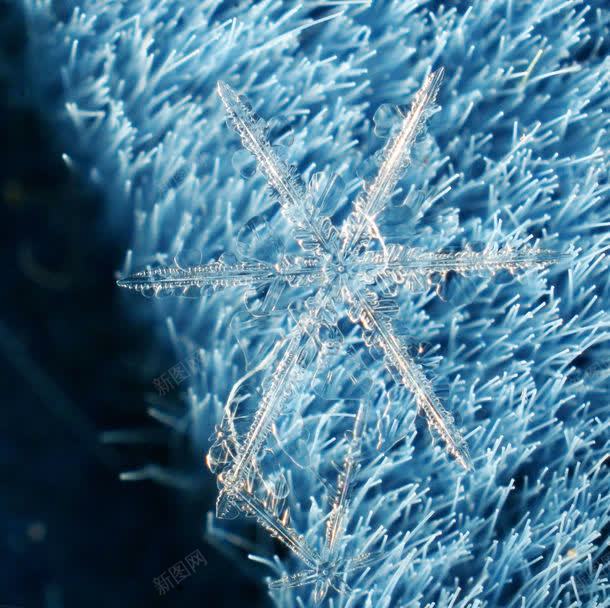 雪花背景jpg设计背景_88icon https://88icon.com 其它类别 冰凌 图片素材 圣诞节素材 结冰 背景花边 雪花 雪花背景图片 雪花背景图片素材下载