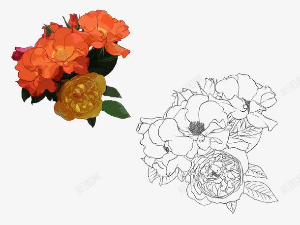 手绘石榴花png免抠素材_88icon https://88icon.com 手绘 石榴花 红色 绿叶