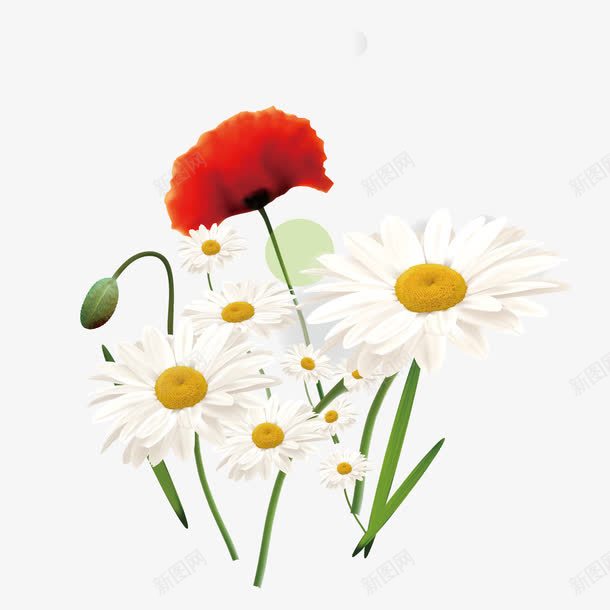 手绘白色花卉装饰png免抠素材_88icon https://88icon.com 太阳花 手绘花卉 樱树花 装饰花卉