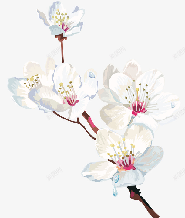 春日手绘桃花png免抠素材_88icon https://88icon.com 手绘花 春日花朵 桃花 桃花枝 白色的花 花朵 花花