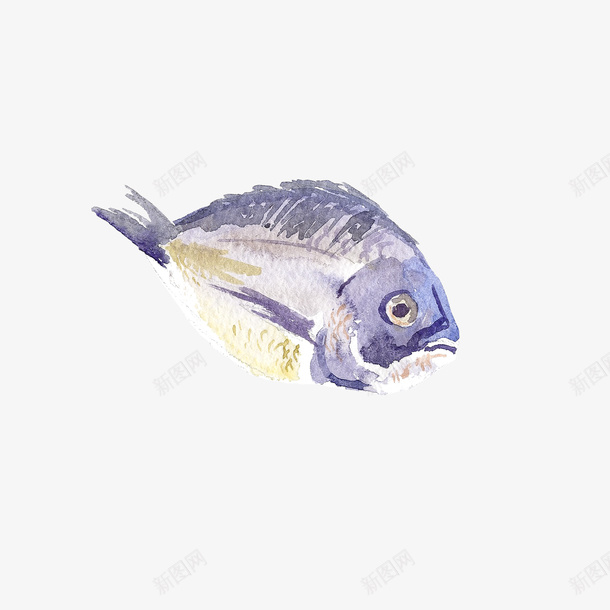 水彩紫色的鱼png免抠素材_88icon https://88icon.com png图形 png装饰 小鱼 手绘 水彩 紫色 装饰