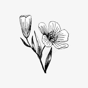 素描速写人物花朵铁塔铅笔png免抠素材_88icon https://88icon.com 人物 素描 花朵 速写 铁塔 铅笔