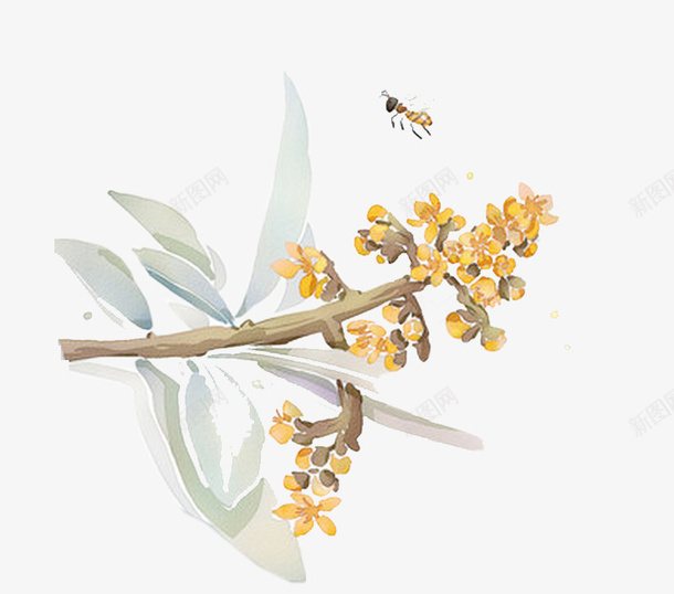 手绘枇杷花png免抠素材_88icon https://88icon.com 手绘 枇杷树 枇杷花 装饰