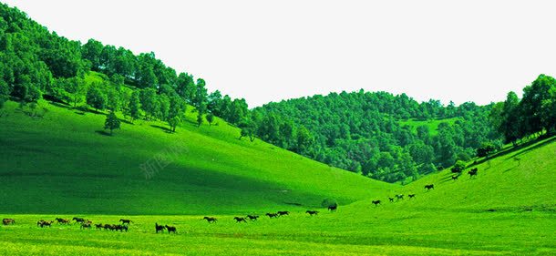 关山草原景区png免抠素材_88icon https://88icon.com 关山草原景区 旅游景区 著名景点 陕西关山草原