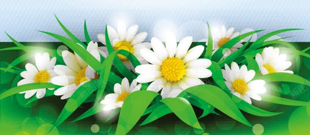 太阳花清新背景bannerjpg设计背景_88icon https://88icon.com banner 太阳花 清新 背景