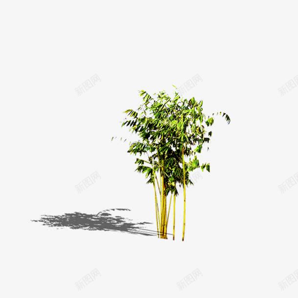 景观鸟瞰树png免抠素材_88icon https://88icon.com 景观树 景观鸟瞰树 树木 鸟瞰树