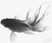 创意合成水墨风格金鱼png免抠素材_88icon https://88icon.com 创意 合成 水墨 金鱼 风格