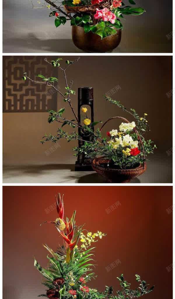 插花艺术欣赏壁纸jpg设计背景_88icon https://88icon.com 壁纸 插花 欣赏 艺术