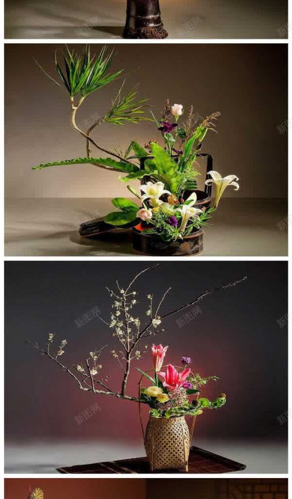 插花艺术欣赏壁纸jpg设计背景_88icon https://88icon.com 壁纸 插花 欣赏 艺术