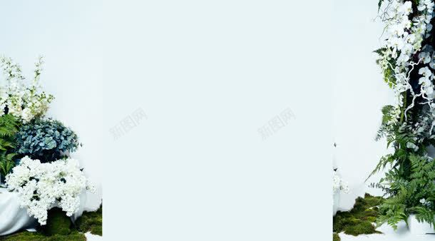 清新绿叶固定背景jpg设计背景_88icon https://88icon.com 固定 清新 绿叶 背景