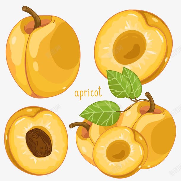 黄桃png免抠素材_88icon https://88icon.com 卡通水果 果蔬 美味水果