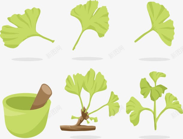 中药png免抠素材_88icon https://88icon.com 木棒 研磨 草药 药草 适量绿叶
