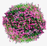 景观彩平图png免抠素材_88icon https://88icon.com 俯视图 景观彩平图 素材