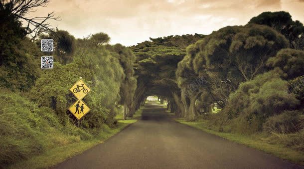 自然风景绿植被道路jpg设计背景_88icon https://88icon.com 植被 自然 道路 风景