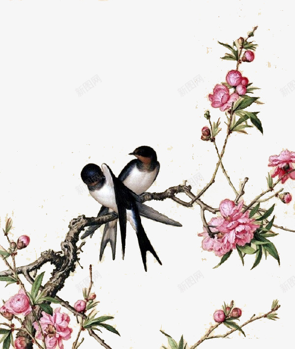 中国风花鸟画png免抠素材_88icon https://88icon.com 中国风 春天 花鸟 鸟儿