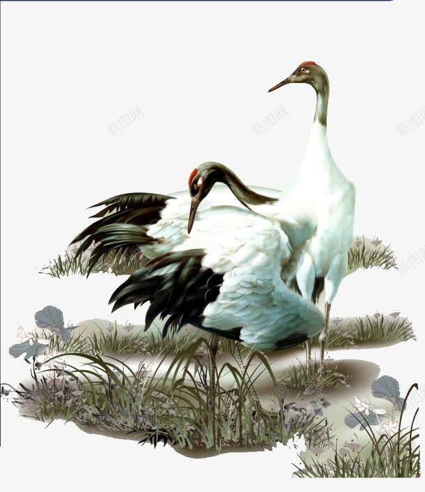 丹顶鹤png免抠素材_88icon https://88icon.com 国家保护 白色 红顶鹤 长腿