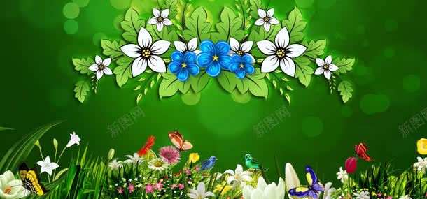 养生背景背景图片 养生背景背景