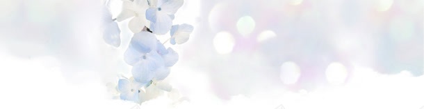 淘宝背景jpg设计背景_88icon https://88icon.com banner 淘宝广告 田园风 花墙