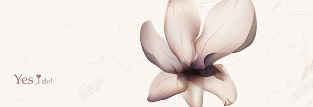 时尚爱情花背景bannerjpg设计背景_88icon https://88icon.com banner 时尚 爱情 背景 花