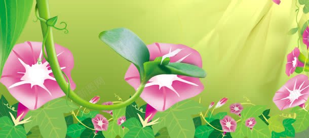 养生背景背景图片 养生背景背景