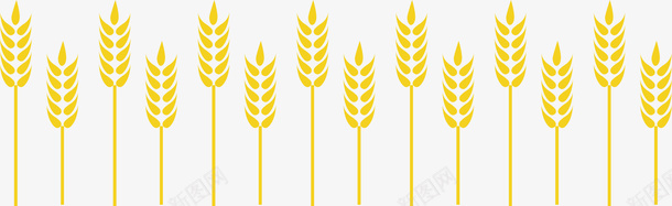 一片手绘丰满谷穗矢量图ai免抠素材_88icon https://88icon.com 卡通谷穗 小米谷穗 手绘丰满谷穗 手绘谷穗 植物 谷穗 谷穗手绘 谷穗边框 矢量图
