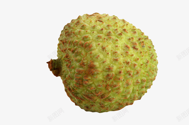绿色完整肉厚的新鲜荔枝实物png免抠素材_88icon https://88icon.com 包裹 南国四大果品 味甜 妃子笑荔枝 完整 开胃益脾 果实 植物 水果 肉厚 补脑健身 贵妃