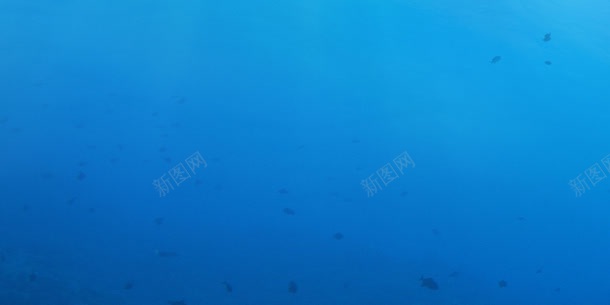 蓝色深海小鱼游泳jpg设计背景_88icon https://88icon.com 深海 游泳 蓝色