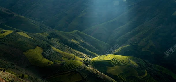 草原背景jpg设计背景_88icon https://88icon.com 背景 草原