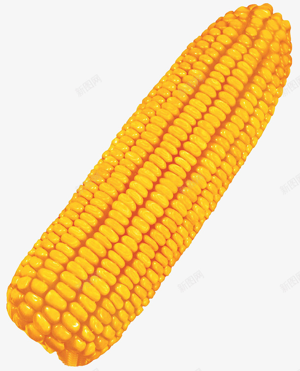 一只玉米png免抠素材_88icon https://88icon.com 包谷 果实 玉米 食物 黄色