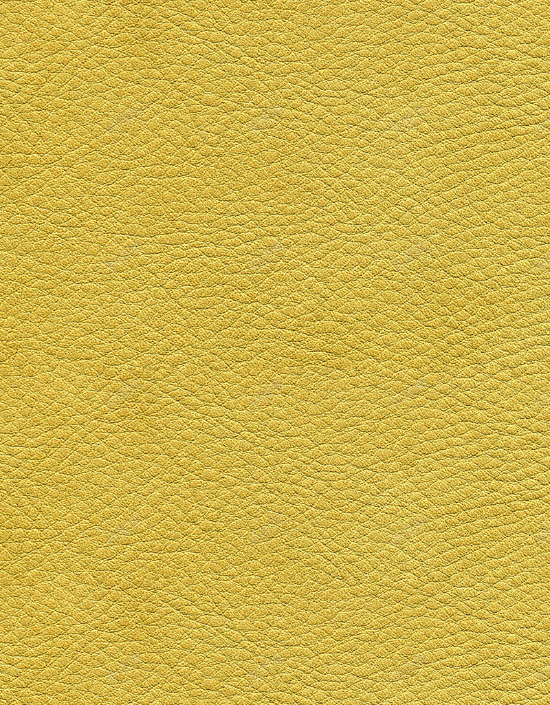 金色皮质质感H5背景jpg设计背景_88icon https://88icon.com H5背景 卡包 皮质 背包 质感 金色 钱包 黄色