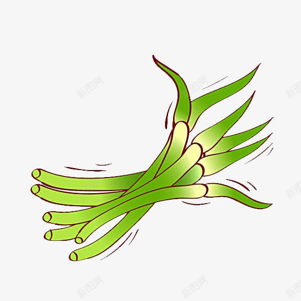 蒜台蔬菜有机蔬菜手绘生食png免抠素材_88icon https://88icon.com 蒜台