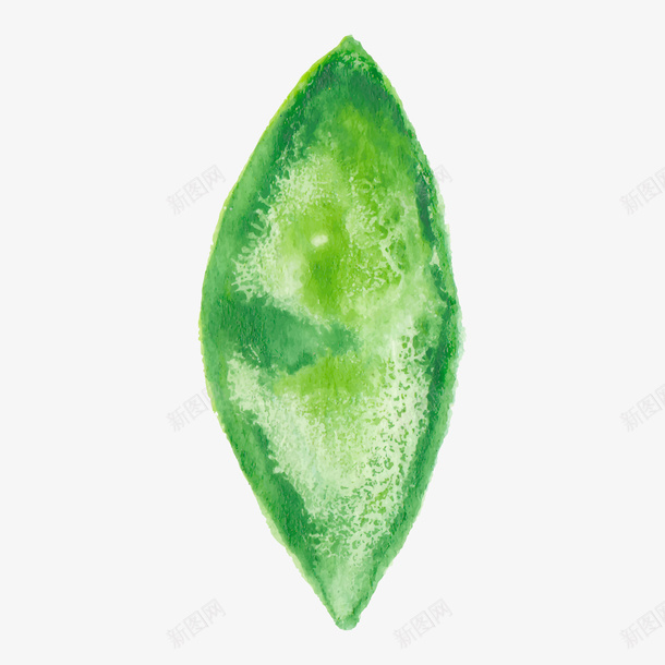 花卉花卉插画png免抠素材_88icon https://88icon.com 手绘花卉素材 植物花卉素材 水彩花卉素材 花卉图案