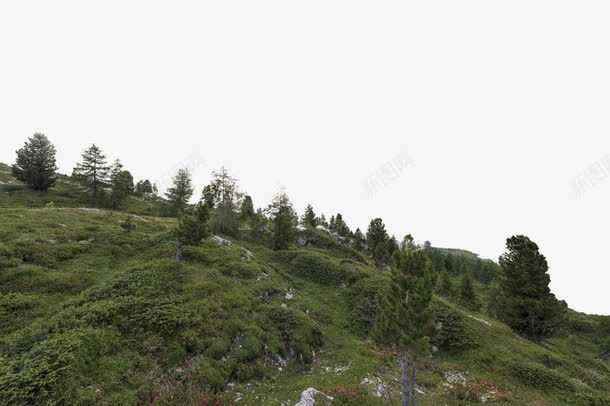 树林绿地png免抠素材_88icon https://88icon.com 山野 树林 绿草地
