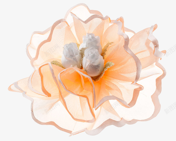 花草装饰png免抠素材_88icon https://88icon.com 花卉设计素材 花草图片素材 装饰 装饰图片素材 鲜花花草