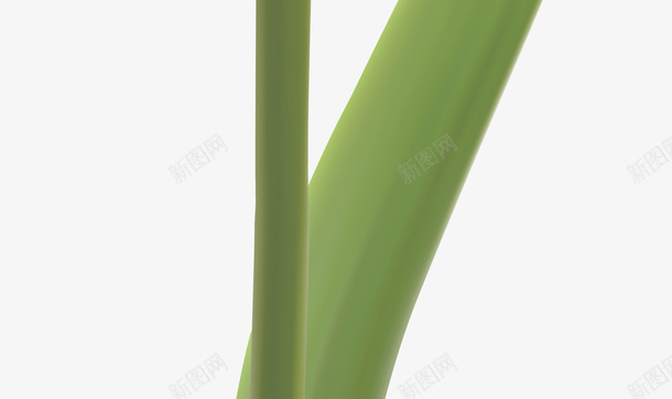 彩绘郁金香粉郁金香矢量图ai免抠素材_88icon https://88icon.com 橙色郁金香 郁金香地 郁金香字 郁金香标志 郁金香海 郁金香花 郁金香花边 郁金香装饰画 矢量图