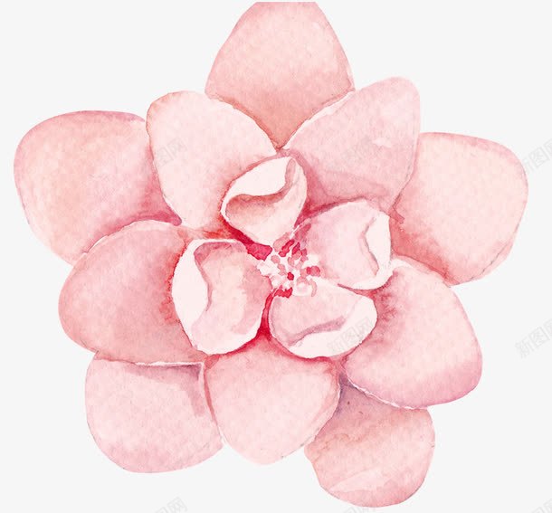花png免抠素材_88icon https://88icon.com 立体花 粉色 素描花