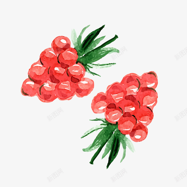 手绘红色树莓png免抠素材_88icon https://88icon.com 卡通食物 手绘 水果 红色树莓 背景装饰