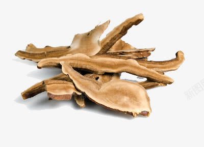 树皮png免抠素材_88icon https://88icon.com 中药 价值 药材