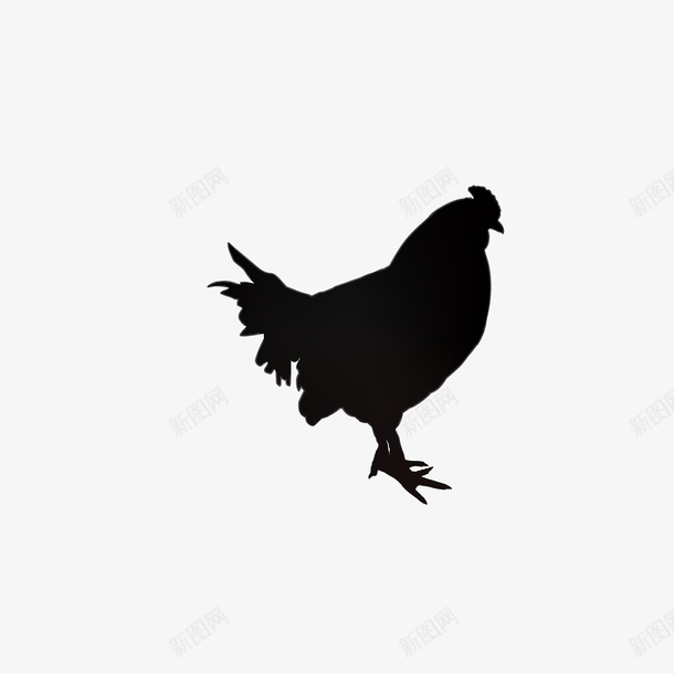 手绘动物小黑鸡矢量图eps免抠素材_88icon https://88icon.com png免抠图 创意 剪纸 动物 卡通 手绘 时尚 黑色 黑鸡 矢量图
