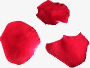 玫瑰花瓣片png免抠素材_88icon https://88icon.com 图片 玫瑰 素材 花瓣