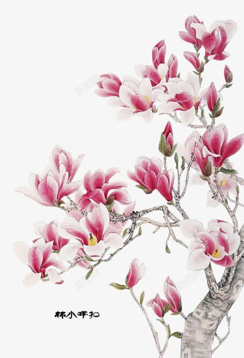 国画山花png免抠素材_88icon https://88icon.com 写实 国粹 植物 红色